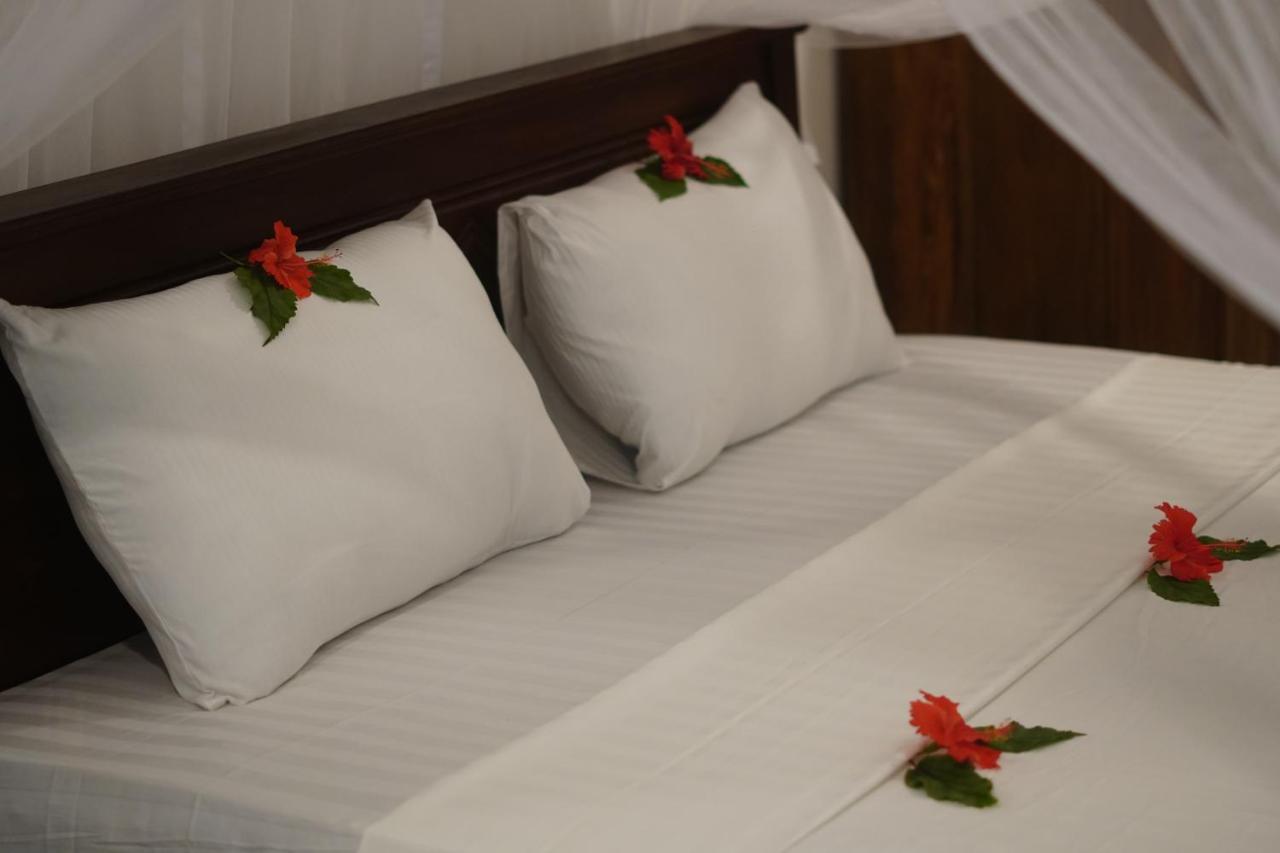 Turtle Bay Beach Resort Mirissa Luaran gambar