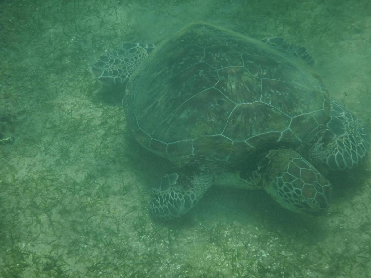 Turtle Bay Beach Resort Mirissa Luaran gambar